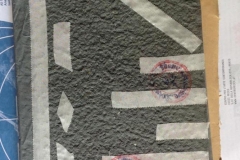 Dorina to Virginia 3